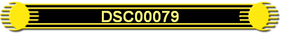 DSC00079