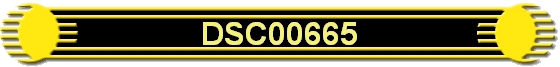 DSC00665