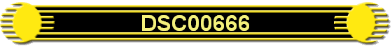 DSC00666