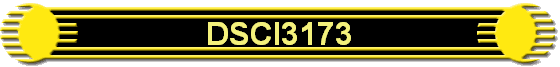 DSCI3173
