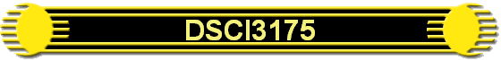 DSCI3175
