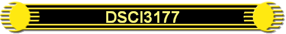 DSCI3177