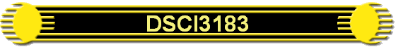 DSCI3183