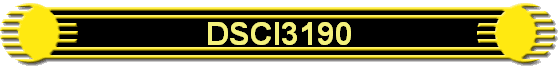 DSCI3190