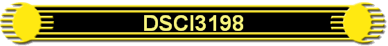 DSCI3198