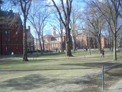 DSCI3535